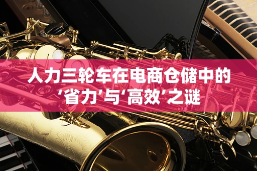 人力三轮车在电商仓储中的‘省力’与‘高效’之谜