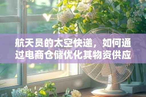 航天员的太空快递，如何通过电商仓储优化其物资供应？