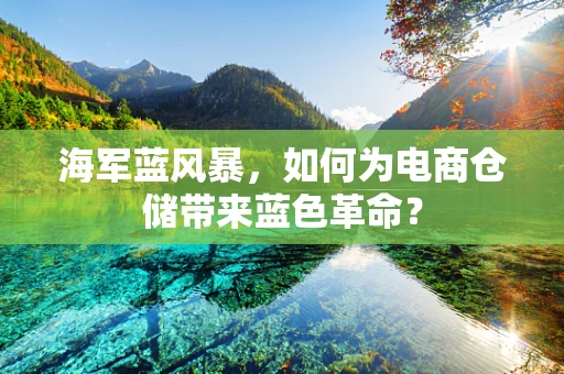海军蓝风暴，如何为电商仓储带来蓝色革命？