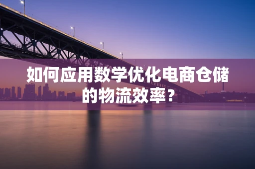 如何应用数学优化电商仓储的物流效率？