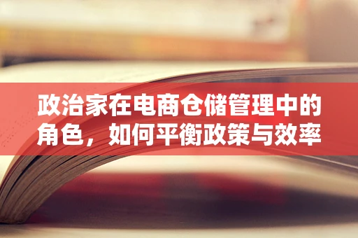 政治家在电商仓储管理中的角色，如何平衡政策与效率？