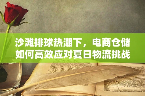 沙滩排球热潮下，电商仓储如何高效应对夏日物流挑战？