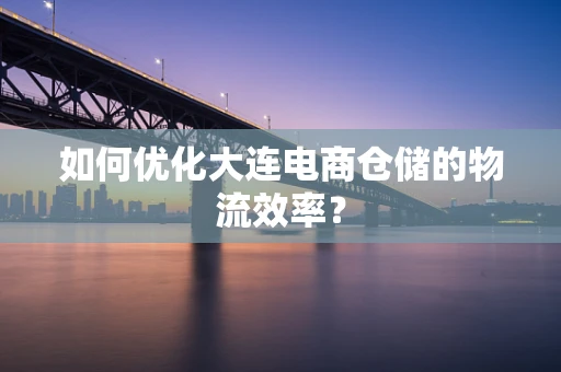 如何优化大连电商仓储的物流效率？