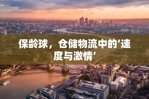 保龄球，仓储物流中的‘速度与激情’