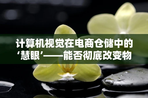 计算机视觉在电商仓储中的‘慧眼’——能否彻底改变物流效率的未来？