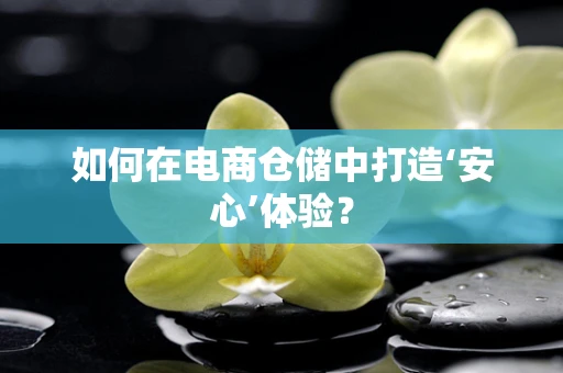 如何在电商仓储中打造‘安心’体验？