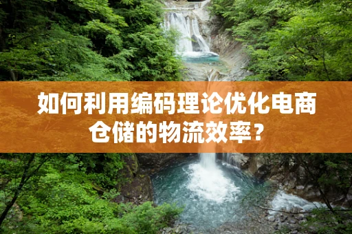如何利用编码理论优化电商仓储的物流效率？