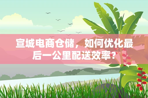 宣城电商仓储，如何优化最后一公里配送效率？