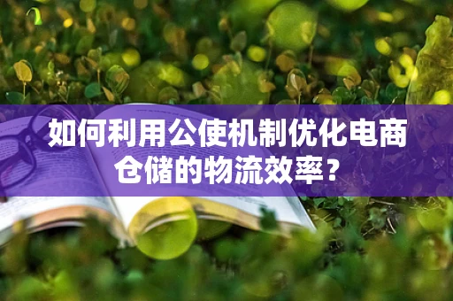 如何利用公使机制优化电商仓储的物流效率？