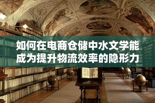 如何在电商仓储中水文学能成为提升物流效率的隐形力量？