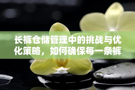 长裤仓储管理中的挑战与优化策略，如何确保每一条裤子的完美流转？