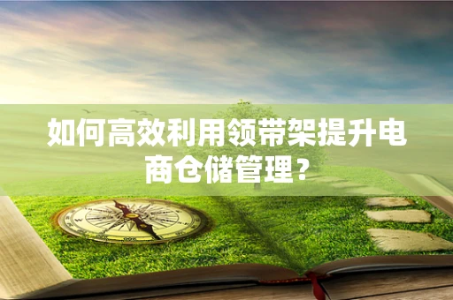 如何高效利用领带架提升电商仓储管理？