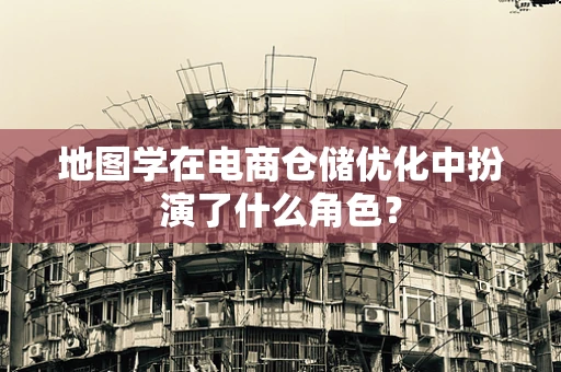 地图学在电商仓储优化中扮演了什么角色？