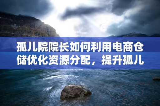 孤儿院院长如何利用电商仓储优化资源分配，提升孤儿教育质量？