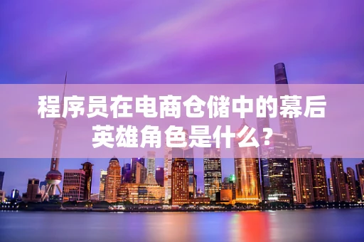 程序员在电商仓储中的幕后英雄角色是什么？