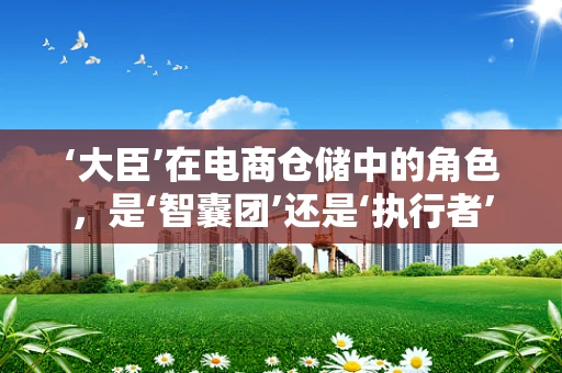 ‘大臣’在电商仓储中的角色，是‘智囊团’还是‘执行者’？