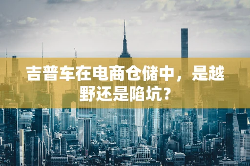 吉普车在电商仓储中，是越野还是陷坑？