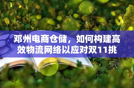 邓州电商仓储，如何构建高效物流网络以应对双11挑战？
