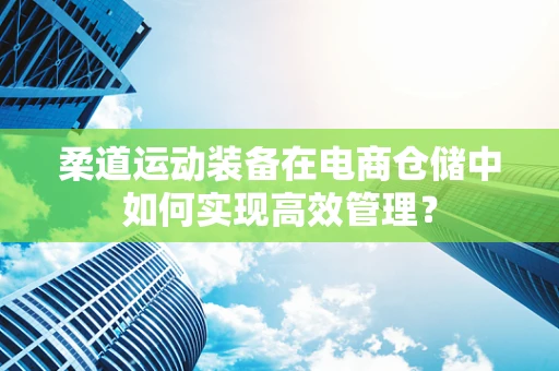 柔道运动装备在电商仓储中如何实现高效管理？