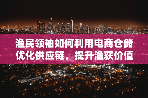 渔民领袖如何利用电商仓储优化供应链，提升渔获价值？