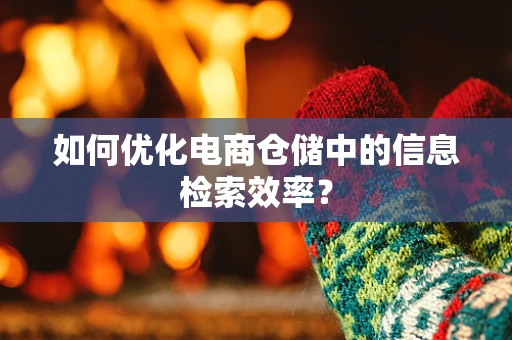 如何优化电商仓储中的信息检索效率？