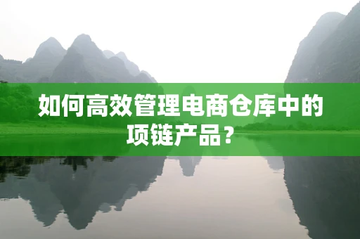 如何高效管理电商仓库中的项链产品？