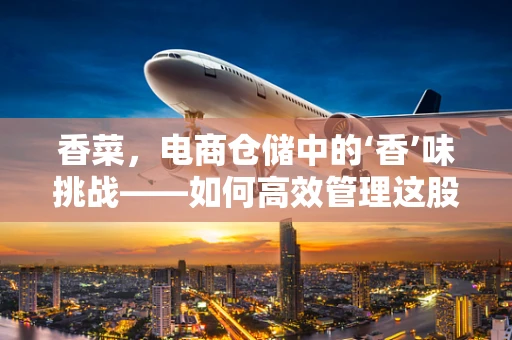 香菜，电商仓储中的‘香’味挑战——如何高效管理这股‘绿色风暴’？