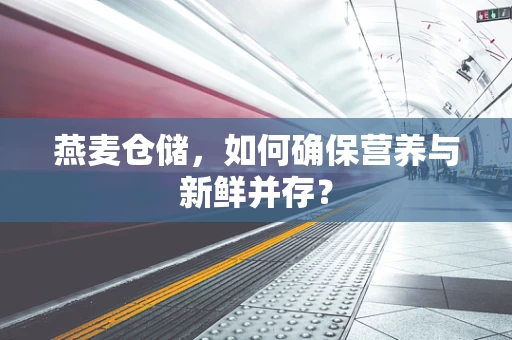 燕麦仓储，如何确保营养与新鲜并存？