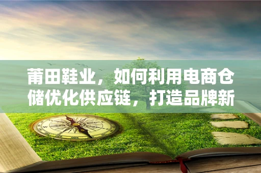 莆田鞋业，如何利用电商仓储优化供应链，打造品牌新高度？