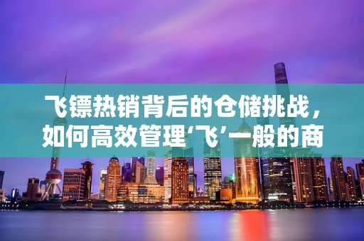 飞镖热销背后的仓储挑战，如何高效管理‘飞’一般的商品？