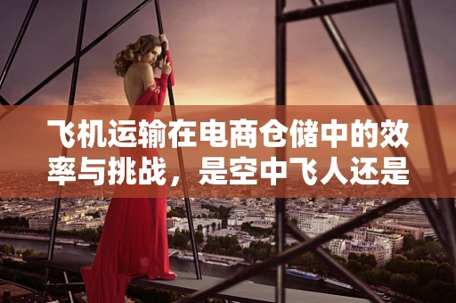 飞机运输在电商仓储中的效率与挑战，是空中飞人还是地面守望者？
