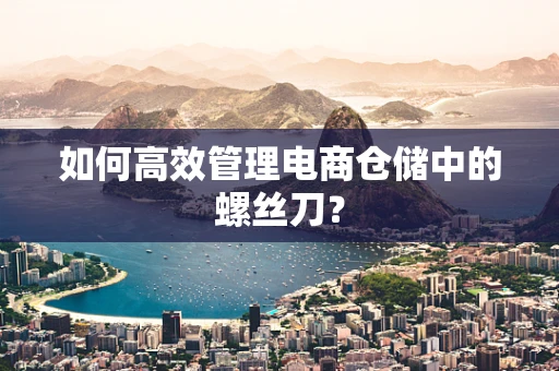 如何高效管理电商仓储中的螺丝刀？