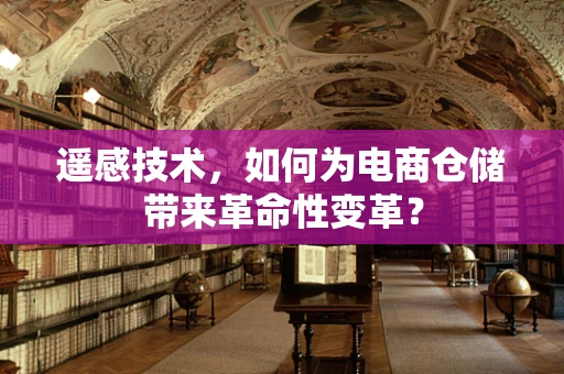 遥感技术，如何为电商仓储带来革命性变革？