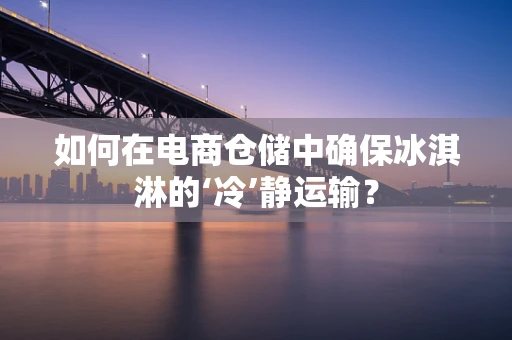 如何在电商仓储中确保冰淇淋的‘冷’静运输？