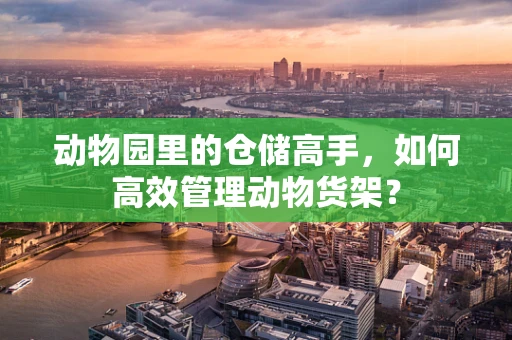 动物园里的仓储高手，如何高效管理动物货架？