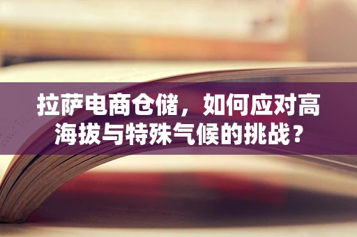拉萨电商仓储，如何应对高海拔与特殊气候的挑战？