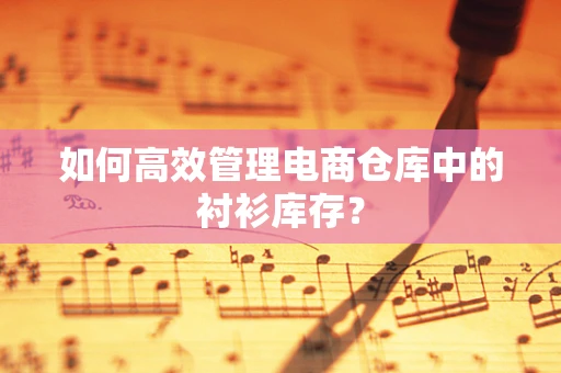 如何高效管理电商仓库中的衬衫库存？