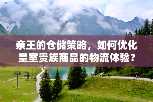 亲王的仓储策略，如何优化皇室贵族商品的物流体验？