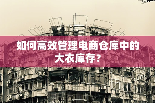 如何高效管理电商仓库中的大衣库存？