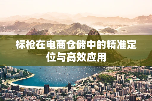 标枪在电商仓储中的精准定位与高效应用