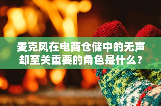 麦克风在电商仓储中的无声却至关重要的角色是什么？