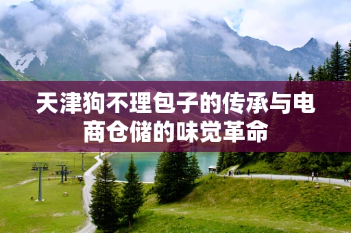 天津狗不理包子的传承与电商仓储的味觉革命
