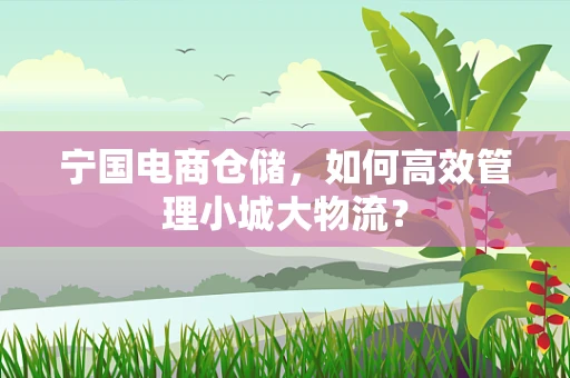 宁国电商仓储，如何高效管理小城大物流？