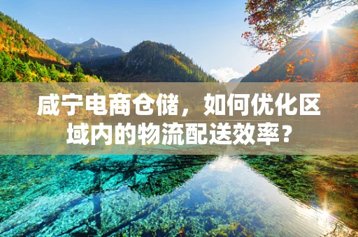 咸宁电商仓储，如何优化区域内的物流配送效率？