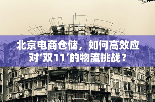 北京电商仓储，如何高效应对‘双11’的物流挑战？
