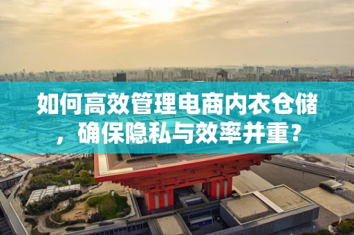 如何高效管理电商内衣仓储，确保隐私与效率并重？