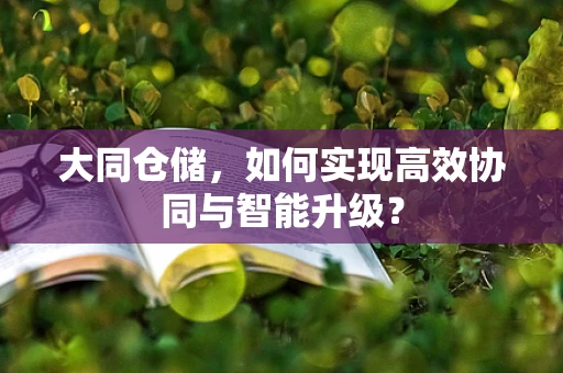 大同仓储，如何实现高效协同与智能升级？