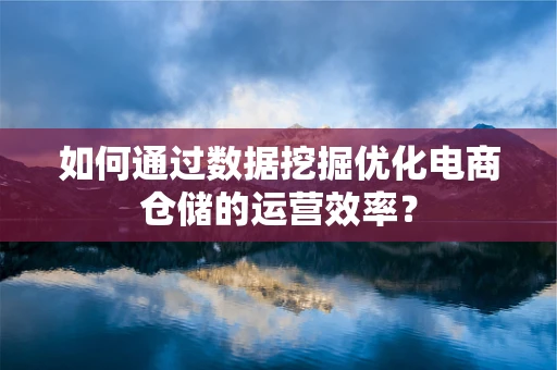如何通过数据挖掘优化电商仓储的运营效率？