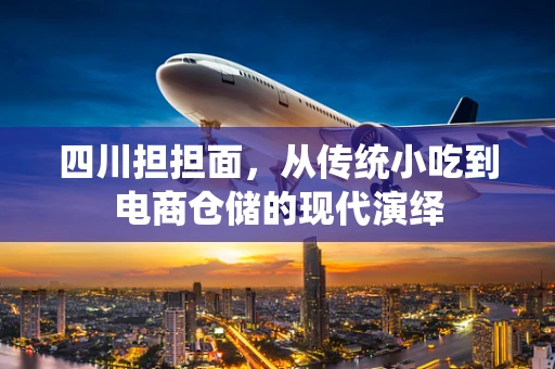 四川担担面，从传统小吃到电商仓储的现代演绎