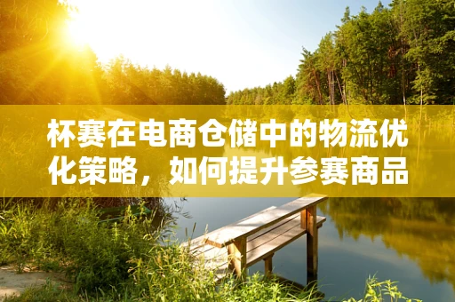 杯赛在电商仓储中的物流优化策略，如何提升参赛商品的快速分拣与配送？